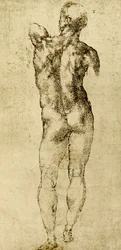 Nudo maschile