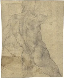 Nudo maschile