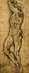 Nudo maschile; disegno di Michelangelo