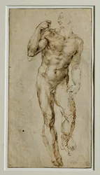 Nudo maschile, vista frontale, 1502-1506 circa ...