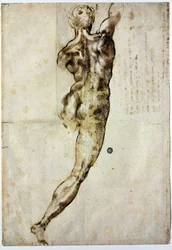Nudo di schiena, c. 1504