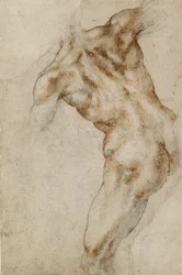 Torso maschile nudo, inizio XVI secolo