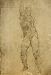 Studio di nudo, disegno di Michelangelo