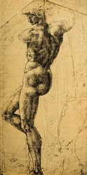 Studio di nudo; disegno di Michelangelo