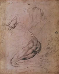 Soffitto della Cappella Sistina (1508-12): schizzi della figura di Eva dalla scena del Peccato Originale