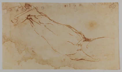 Schizzo per il braccio destro di 