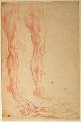 Studi di gambe e braccia