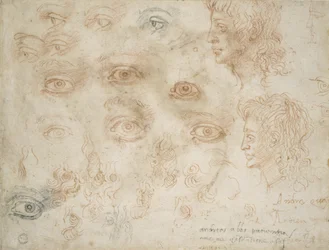 Studi di due teste, c.1525