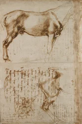 Studi di un cavallo e di un cavaliere che attacca soldati a piedi, inizio XVI secolo