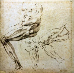 Studi di gambe, 1524-1525