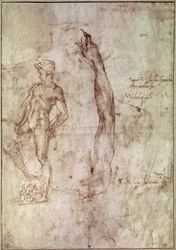 Studio per David (penna e inchiostro su carta)