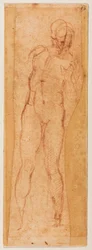 Studio per una figura virile