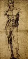 Studio di un nudo maschile, Michelangelo Buonarroti (1475-1564), disegno, Parigi, Museo del Louvre