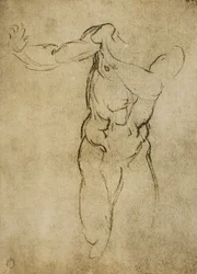 Studio per un busto maschile