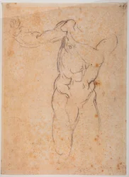 Studio per Adamo della 