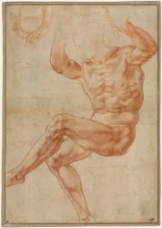 Studio per il Giovane Nudo sopra il Profeta Daniele (recto), 1510-1511