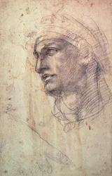 Studio di una testa