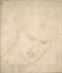 Studio di una testa