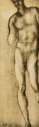 Studio di una figura maschile