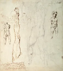 Studio del Bambino Gesù e un disegno anatomico con note (gesso nero e inchiostro marrone su carta) (verso)