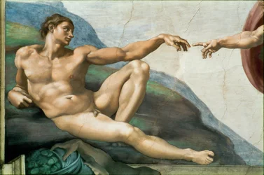 Cappella Sistina; affreschi del soffitto dopo il restauro (affresco)