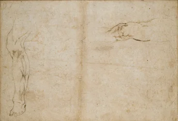 Verso: Studi di una gamba d