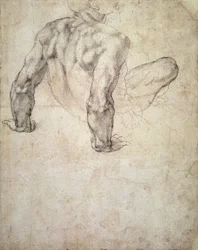 Studio di un nudo maschile, appoggiato sulle mani