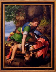 Davide e Golia - Dipinto di Michiel Coxcie