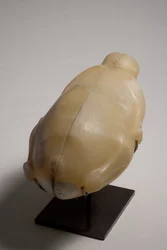 Vaso a due parti a forma di anatra (alabastro)