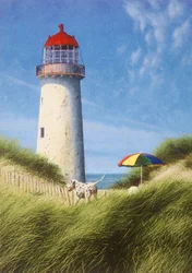 Giornata tra le dune