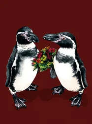 Pinguini anniversario sull