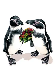 Pinguini anniversario sul bianco, 2020