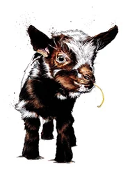 Capretto su Bianco, 2020