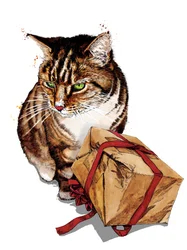 Gatto di compleanno su bianco, 2020