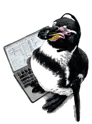 Pinguino nuovo lavoro su bianco, 2020