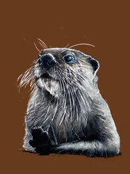 La lontra su arancione bruciato, 2020
