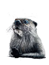 La lontra su bianco, 2020