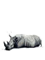 Il rinoceronte su bianco