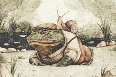 Una rana in abito da gentiluomo
