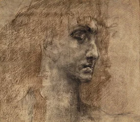 Testa di un angelo, 1887