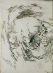Cozza perlifera, 1904