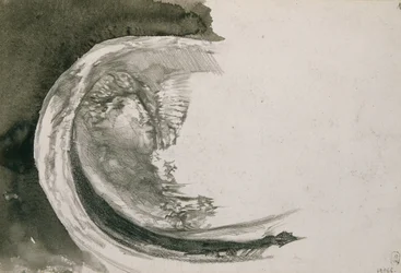 Mussola di perla, 1904