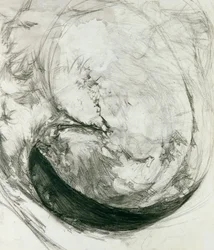 Conchiglia, 1904