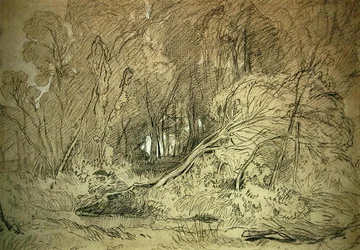 Una radura nel bosco