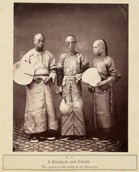 Un mandarino e i suoi amici