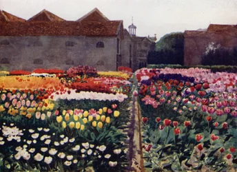 Il giardino di un coltivatore di bulbi