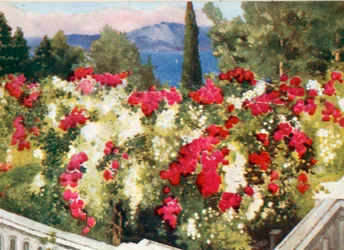 La Pergola delle Rose, l