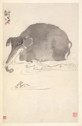 Elefante, cavallo e lepre
