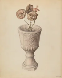 Calice, 1937 circa (acquerello)