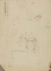 Sella di dromedario/Studies